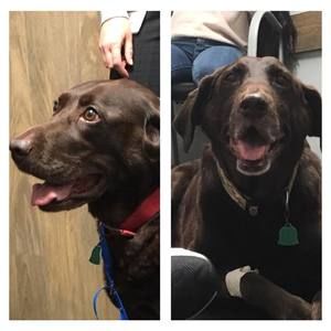 Meet your Posher, Garrett